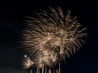 IMG 3339