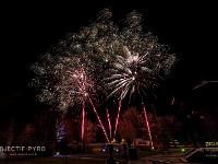 IMG 8181