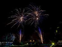 IMG 8186