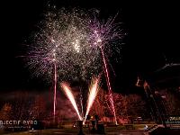 IMG 8194
