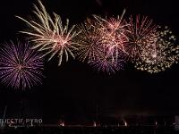 IMG 7376