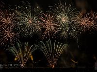 IMG 7387