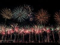 IMG 7479