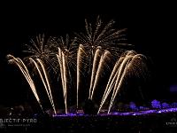 IMG 4819