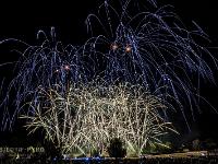 IMG 4882