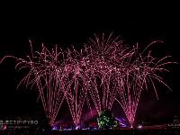 IMG 4883