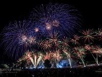 IMG 4916