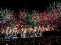 IMG 4919