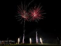 IMG 8227