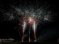 IMG 8231