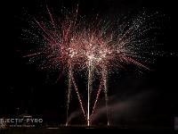 IMG 8234