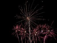 IMG 7880
