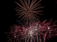 IMG 7881
