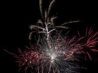 IMG 7882