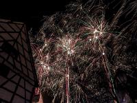 IMG 8251