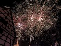 IMG 8252