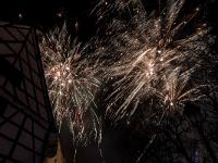 IMG 8255