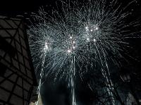 IMG 8261