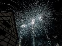 IMG 8262