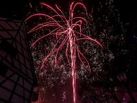 IMG 8264