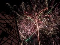 IMG 8266