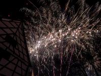IMG 8267
