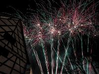IMG 8284