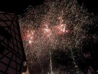 IMG 8286