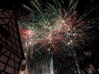 IMG 8288