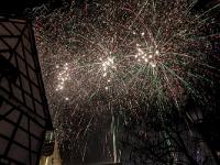 IMG 8292