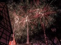 IMG 8297