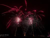 IMG 20084