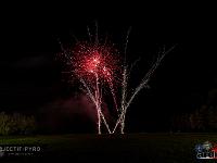 IMG 19921
