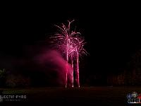 IMG 19953
