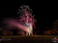 IMG 19954