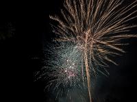 IMG 19410
